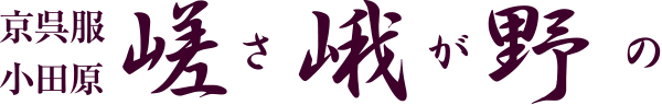 小田原 振袖、着物、袴 レンタル・販売の嵯峨野（さがの）｜卒業式、成人式、七五三など